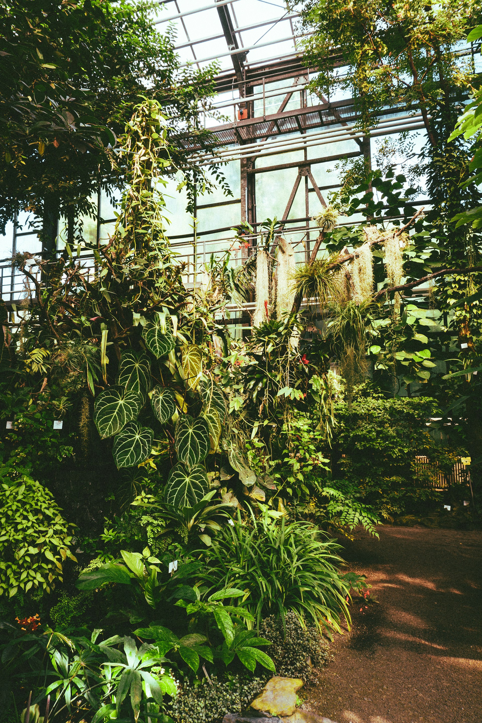Botanical Garden